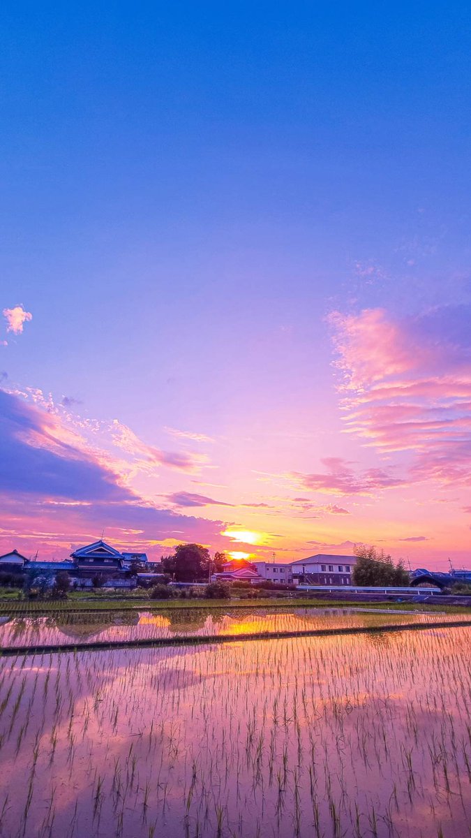 優しい日々の横で泣かぬように。