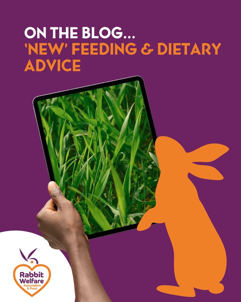 RabbitRWAF's tweet image. We've seen some new dietary advice being promoted recently & we've been asked about its validity...
We regularly review all new evidence & we would absolutely change our advice if there was evidence to suggest it.
But...our advice remains: rabbitwelfare.co.uk/new-feeding-an…