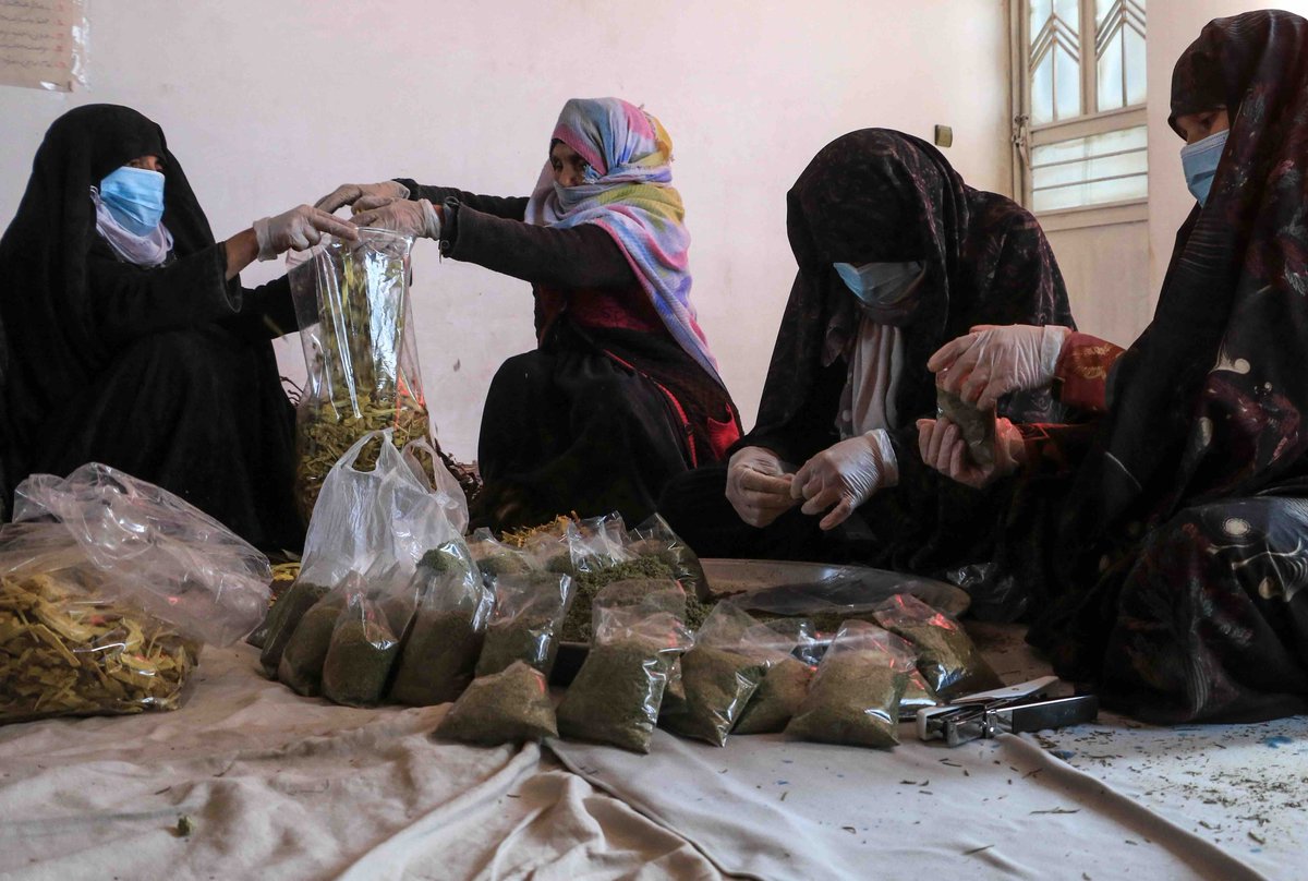 گزارش ها نشان می‌دهد که استفاده از درمان‌های #سنتی رو به افزایش است و برخی از ساکنان #روستایی به دلیل #فقر، دورافتادگی مراکز #صحی و محدودیت های وضع شده #طالبان به آنها روی می‌آورند. 
بیشتر در این گزارش بخوانید: 👇

bit.ly/45EBzAx