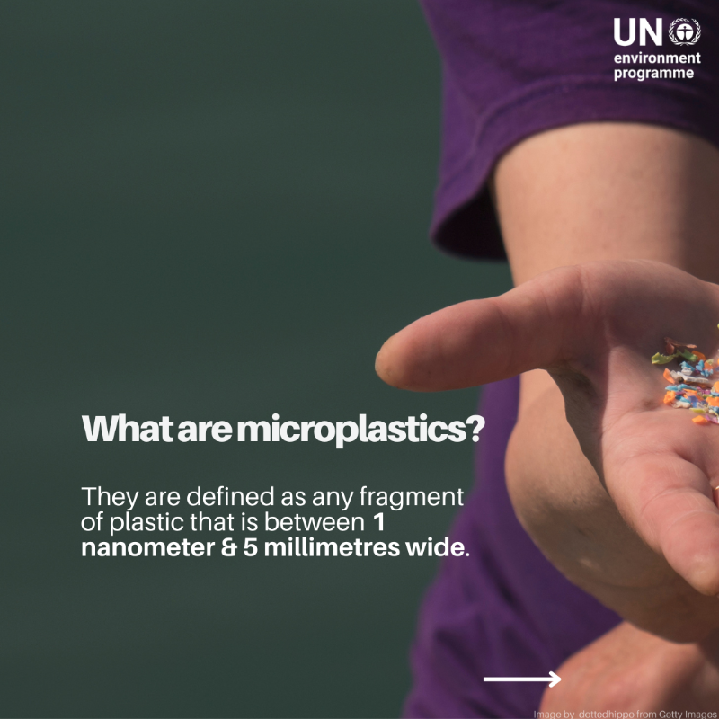 UNEP's tweet photo. Microplastics are everywhere — from the ocean floor to Mount Everest, and even in our bodies.

But what are they, why should we care, and what can we do about them?

Ahead of June 5, #WorldEnvironmentDay, swipe to discover more.