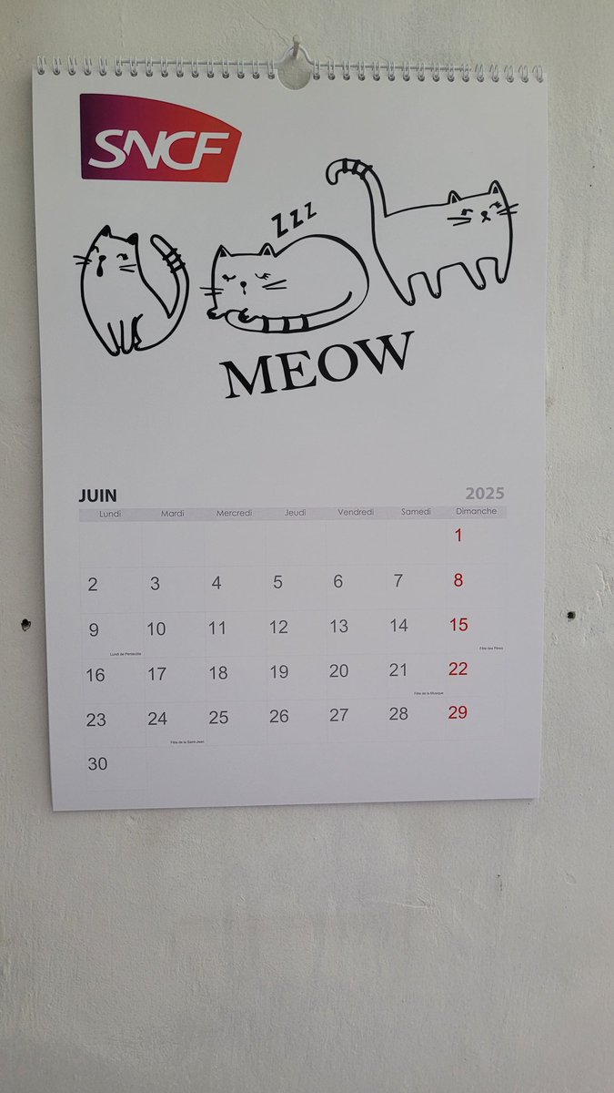 Chez <a href="/SNCFVoyageurs/">SNCF Voyageurs</a>, chaque mois est une nouvelle destination… mais en juin, on prend aussi le temps de s’étirer, de rêver, et de ronronner 🐾🐱
Comme ces trois petits chats, nos équipes veillent, agissent, et accompagnent vos trajets avec écoute et bienveillance.
🚆 Servir les