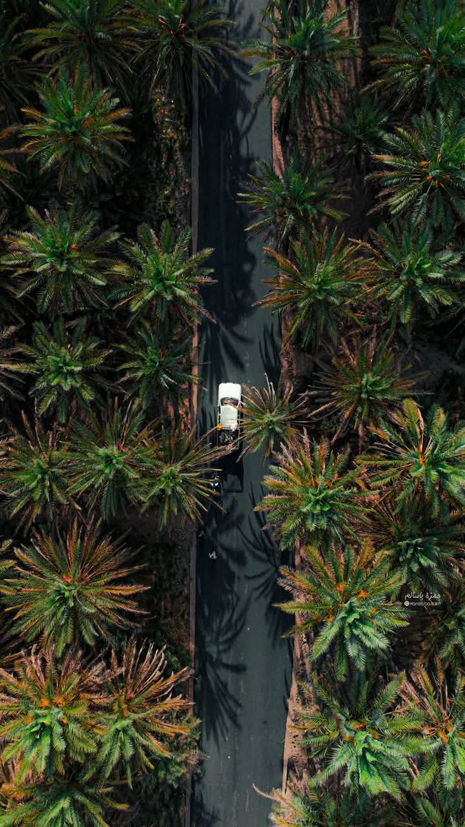 أهلاً بكم في وادي دوعن ❤️

#حضرموت