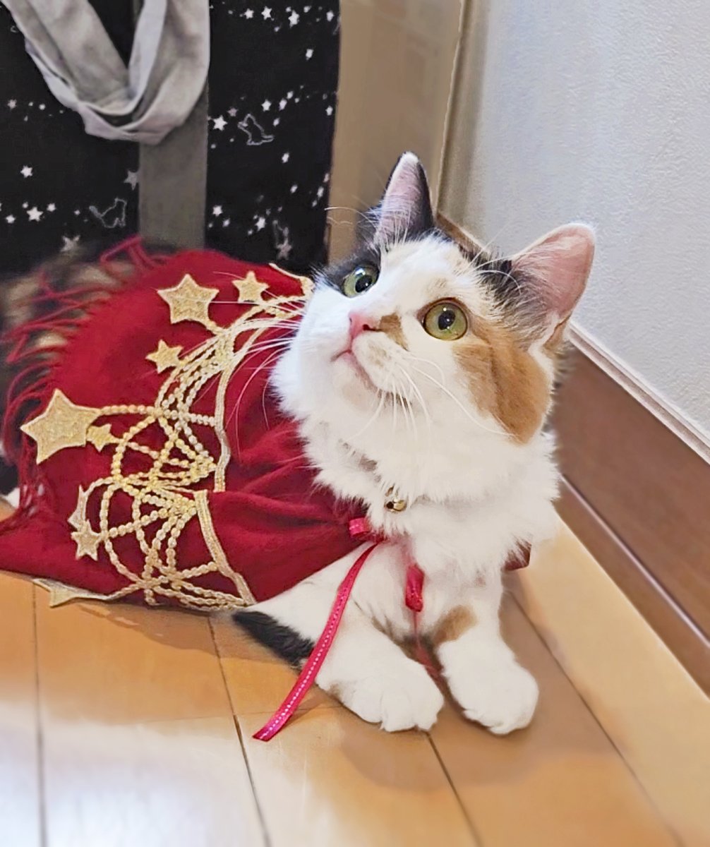 ㅤ
と ぞ … ……
…… …みこ  ひーろ か！