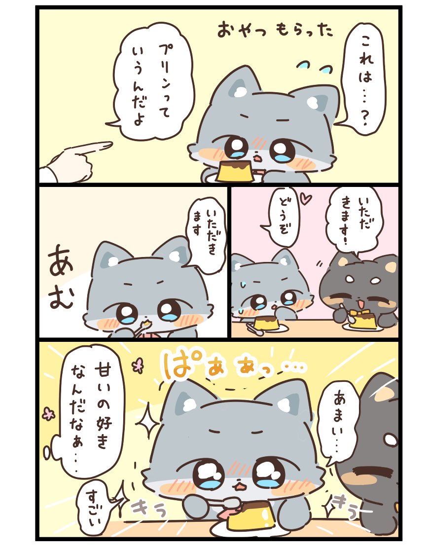 (2/2) 