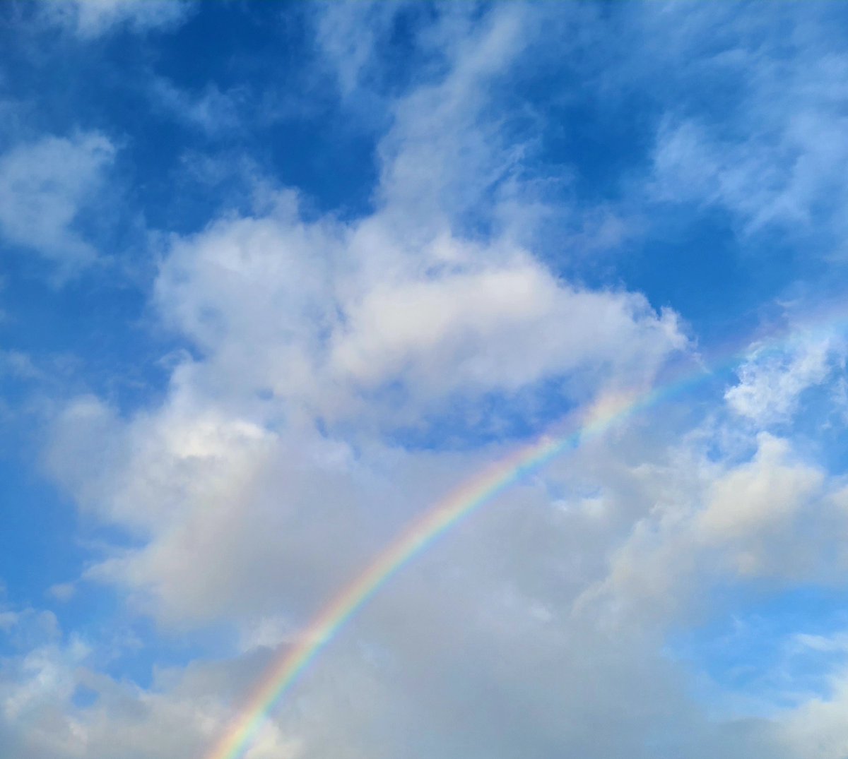 がぁん tweet media