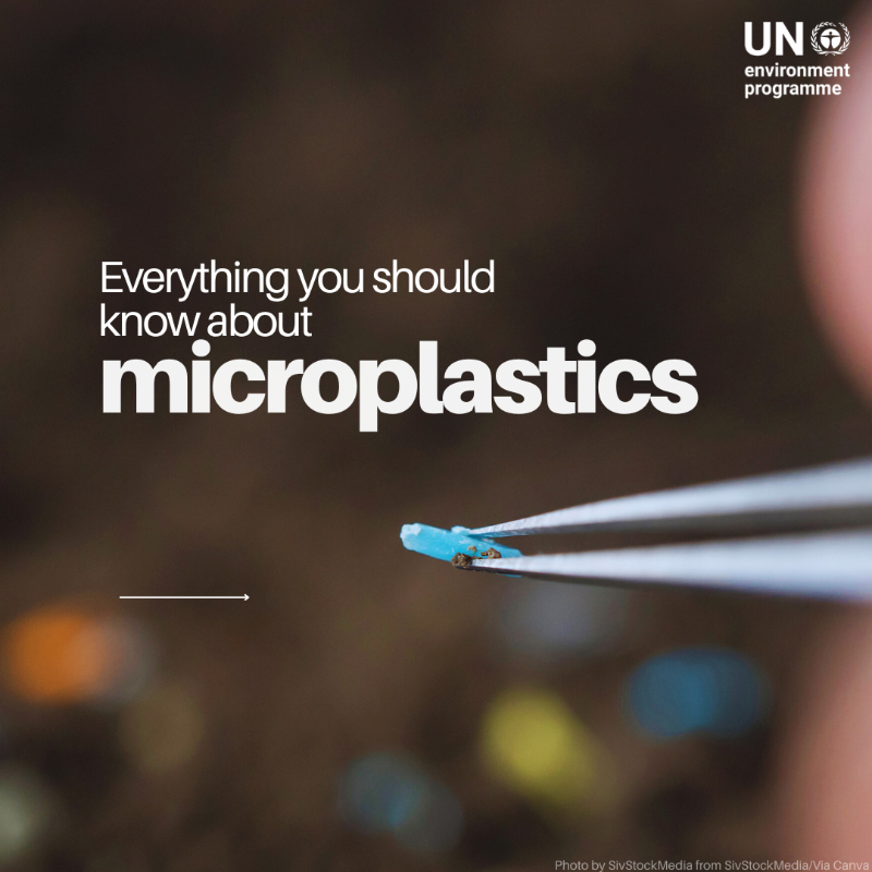 UNEP's tweet photo. Microplastics are everywhere — from the ocean floor to Mount Everest, and even in our bodies.

But what are they, why should we care, and what can we do about them?

Ahead of June 5, #WorldEnvironmentDay, swipe to discover more.