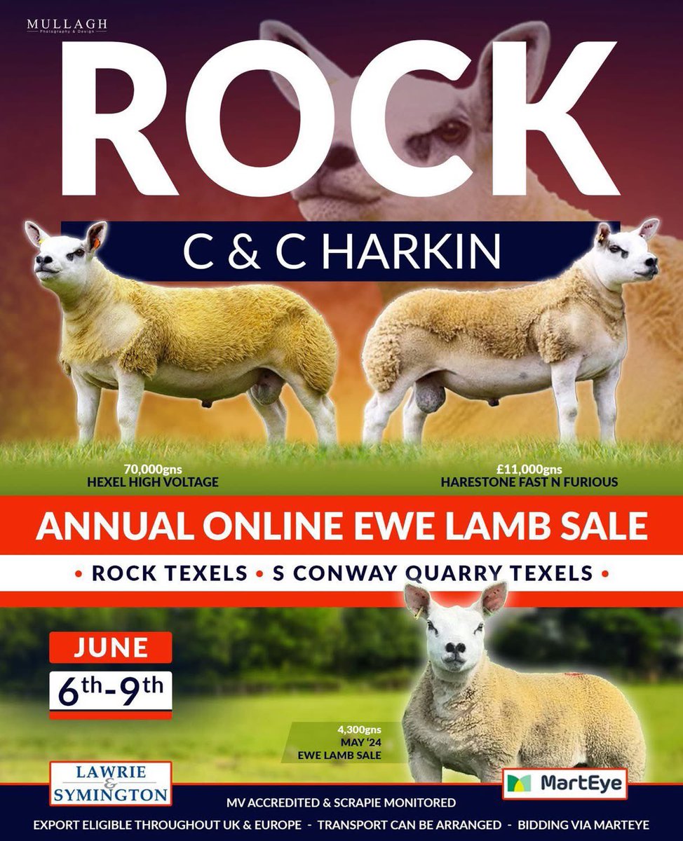 Sale Platform: <a href="/marteye1/">MartEye</a>