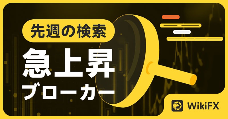 WikiFXJP's tweet photo. 👀#WikiFX 「先週、日本人ユーザーが最も検索したFXブローカーが発表されました!」
国内外のFXブローカーの中には、悪徳業者が紛れて���ることも。
早く下の画像をクリックして見てみましょう。誰がいるのかを!
#FX #投資 #注意喚起 #投資詐欺 #XM #HFM #WeekendFX #Exness #MiTRADE #DooPrime #IG
