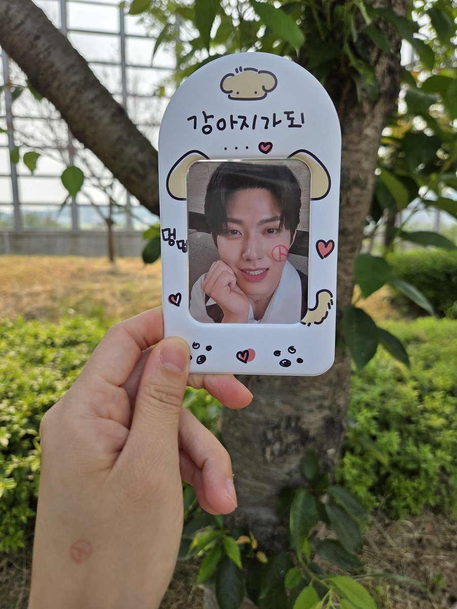 늦은 인증!! 뽀용도우니랑