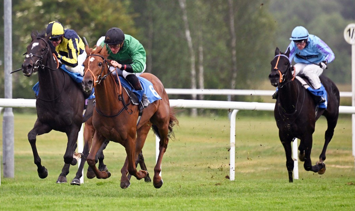 We are racing today!
Join us on Tuesday 3rd June for a day of racing 😃🏇

Doors open at 12:17pm
First Race is at 2:17pm
Last race is at 5:47pm

🎟️Get your tickets here 👉ow.ly/NSz950W3a2E
Tickets are also available for purchase on the door.
We'd love to see you there! 😃