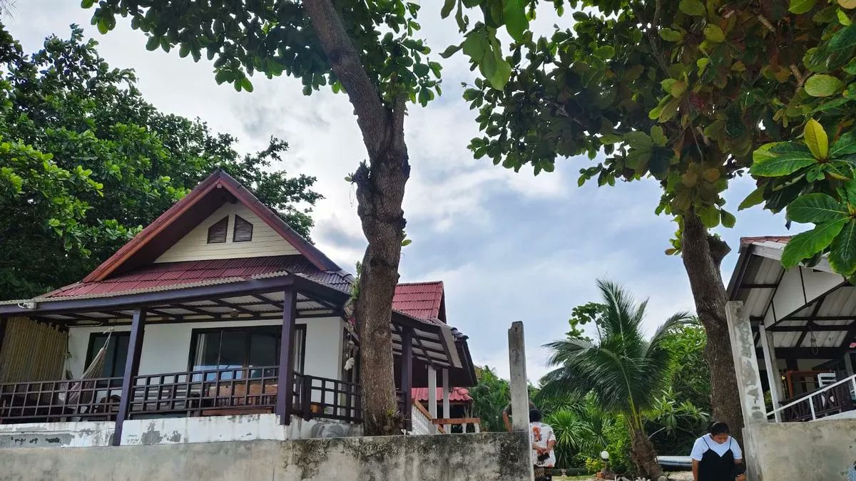 Brit woman's naked body found on notorious Full Moon Party island in Thailand
mirror.co.uk/news/world-new…