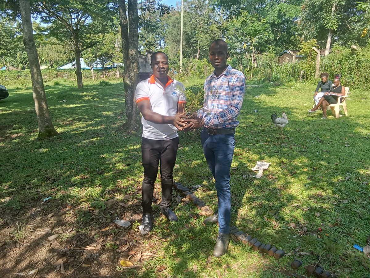 This June, Ugunja Development Initiative is bringing trees to Ambira, Simenya, and Sango JSS through our Climate Change Initiative! Planting for a greener future, because the world is better with trees.  #ClimateAction #UgunjaDevelopment #PlantTrees