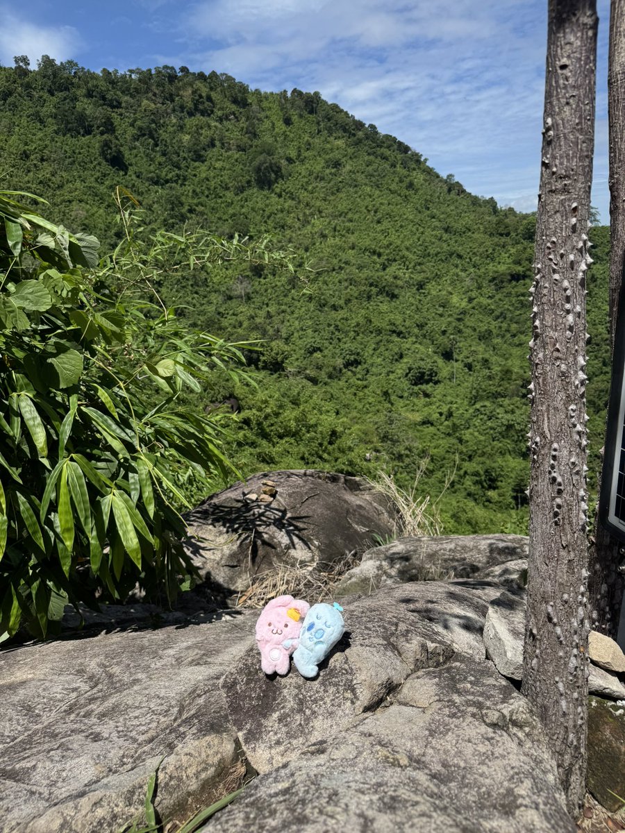 บะบี๋ᡗྀི𓈒ɞ̴̶̷ ܁̫ ɞ̴̶̷ 𓈒ྀི੭֯ tweet media