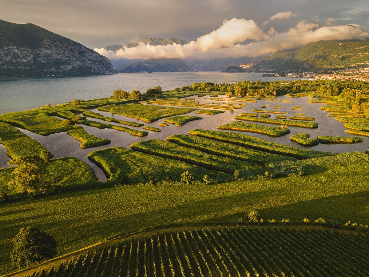 🍾 Il 9 giugno il MAR diventa teatro dell’eccellenza enologica italiana: arriva il Festival #Franciacorta!
38 cantine, degustazioni, masterclass e incontri imperdibili.
🎟️ Biglietti: franciacorta.eventbrite.it
#vino #enologia #FranciacortaFestival