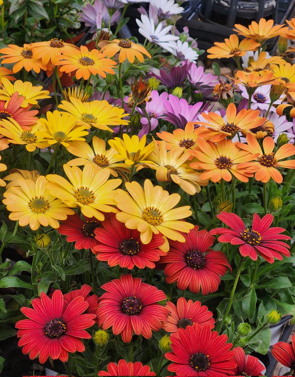 아~ 너무 바쁜 것 같으면서도 아닌 것 같으면서도 애매모호한 하루였어요
나도 귀여운 종이에 투표 완! 하고 싶었는데 버스 시간 보고 얼른 하고 나오느라 들고 있던 종이에...