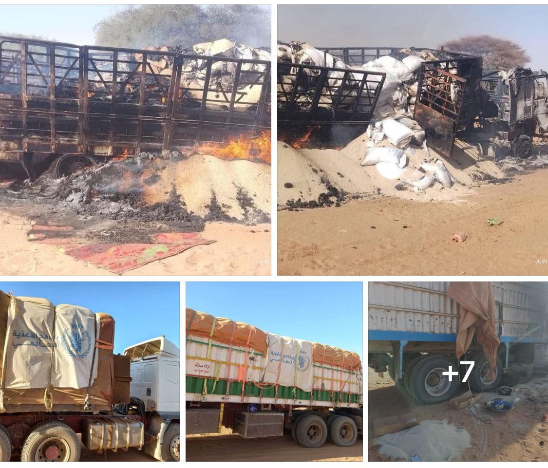 A shocking humanitarian crime committed by the RSF Militia in Kuma and El Fasher

After two years of complete siege on the city of El Fasher, preventing the entry of medical and humanitarian aid, and leaving hundreds of thousands of displaced people suffering from hunger and