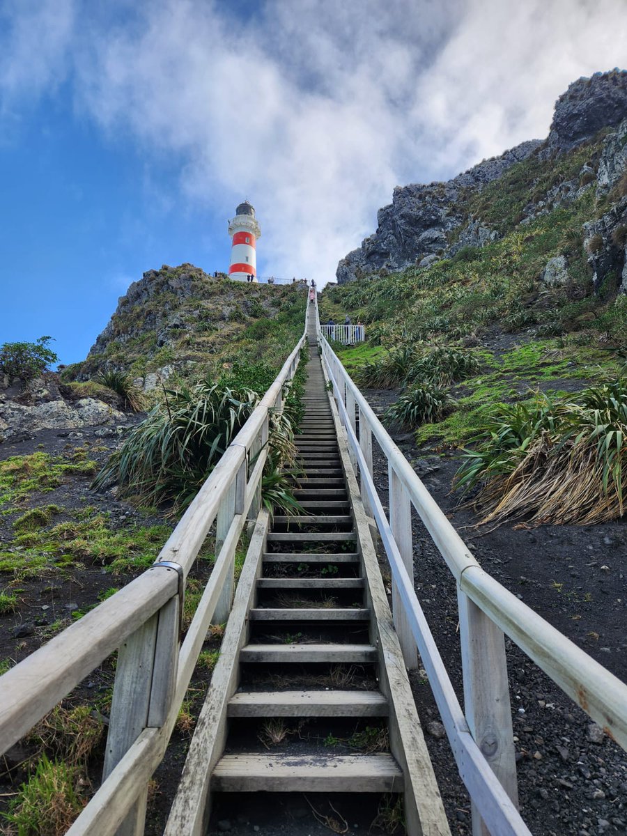 CraigMeads's tweet photo. Cape Palliser. A good walk up. https://t.co/Umv73QI64j