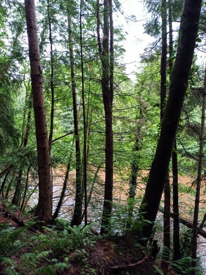 YFCL Pathfinders tweet media