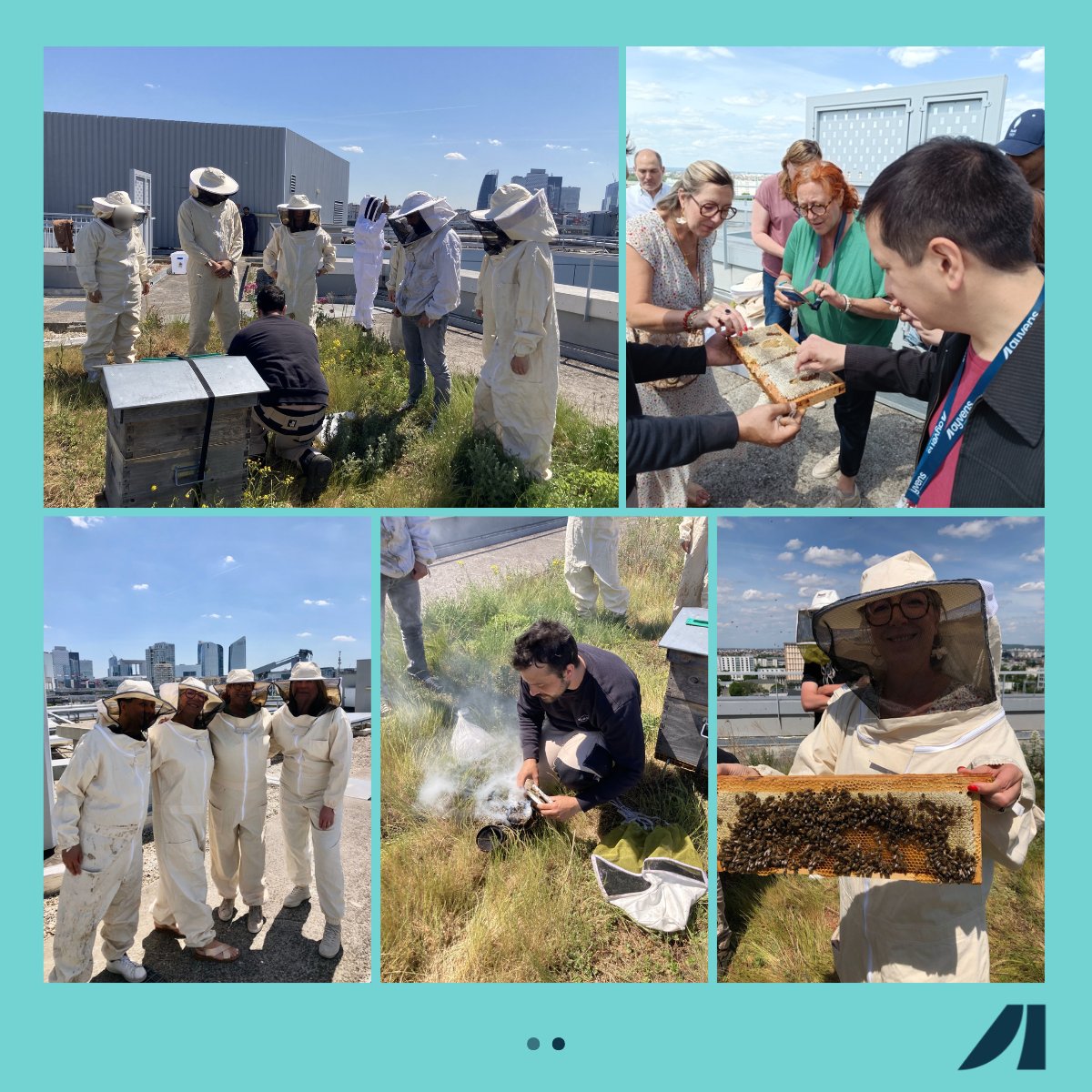 🐝 Un moment suspendu au-dessus de CityLife !

Le 20 mai dernier, à l'occasion de la Journée mondiale des abeilles, nos collaborateurs ont pu découvrir les 2 ruches installées sur le toit de notre siège social CityLife.

Un grand merci à <a href="/alveolebuzz/">Alvéole</a> ! 🙏