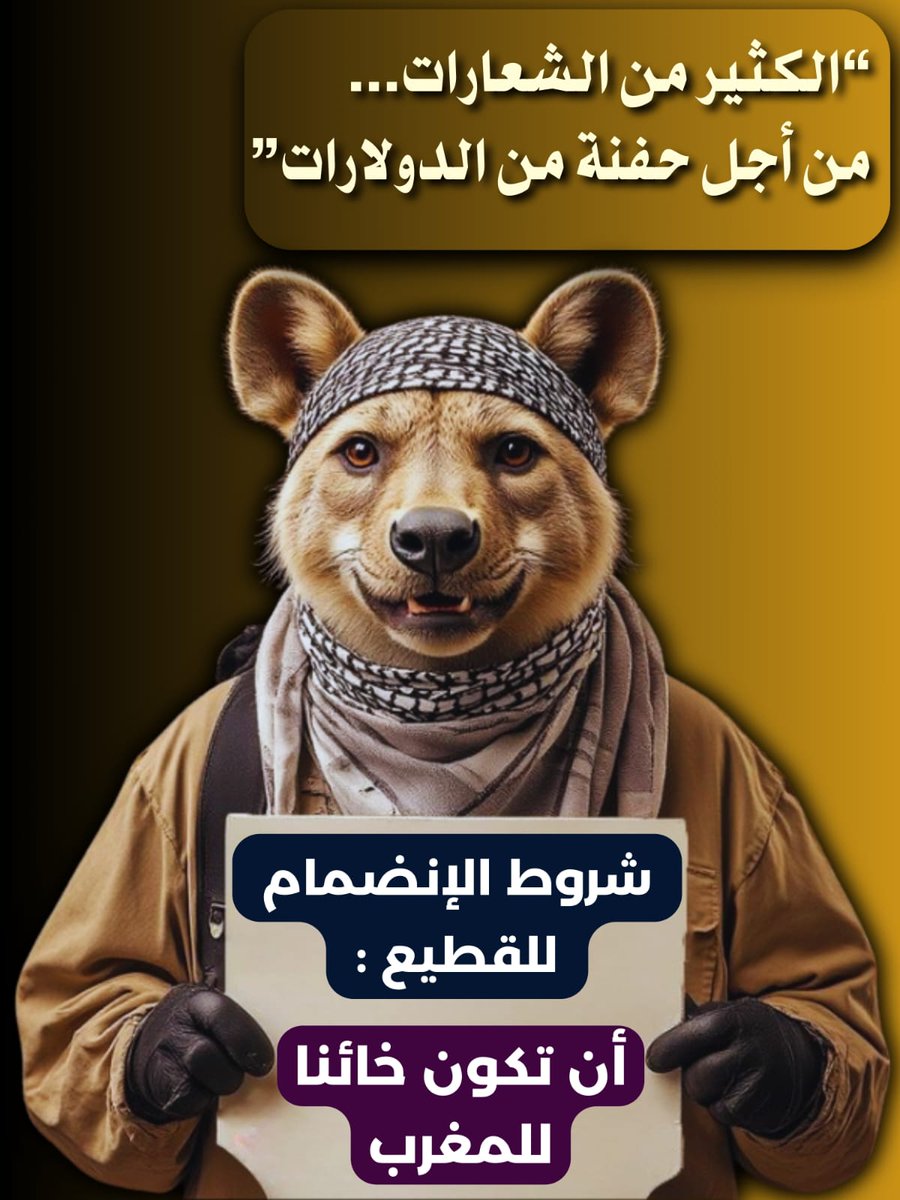 Jalilbol tweet media