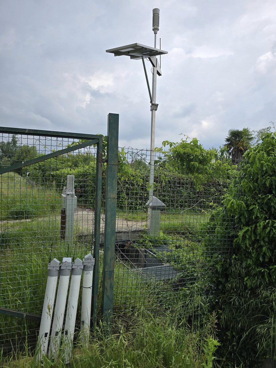 Fabio Fimiani tweet media