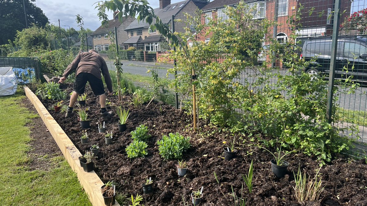 GP_allotment's tweet photo. Thank you to Ian, Den and Paul W who have been completing further maintenance and planting in the long border.

#allotment #M41 #urmston #teamwork #community https://t.co/vqWfklAsRM