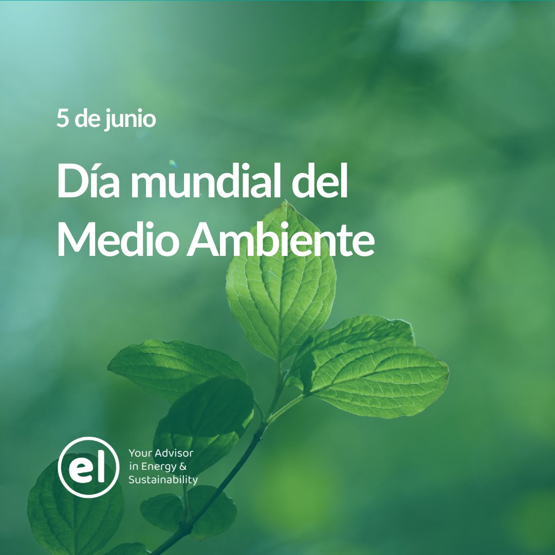 EnergiaLocal's tweet photo. 🌍 Hoy celebramos el Día Mundial del Medio Ambiente
Un día para recordar que cada decisión empresarial tiene un impacto, y que actuar con sostenibilidad ya no es una tendencia: es una necesidad. https://t.co/FC7RkH5YFl