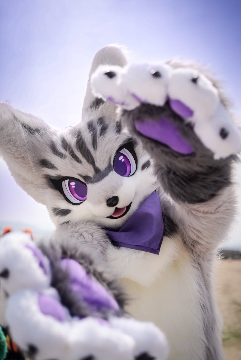 #FursuitEveryday