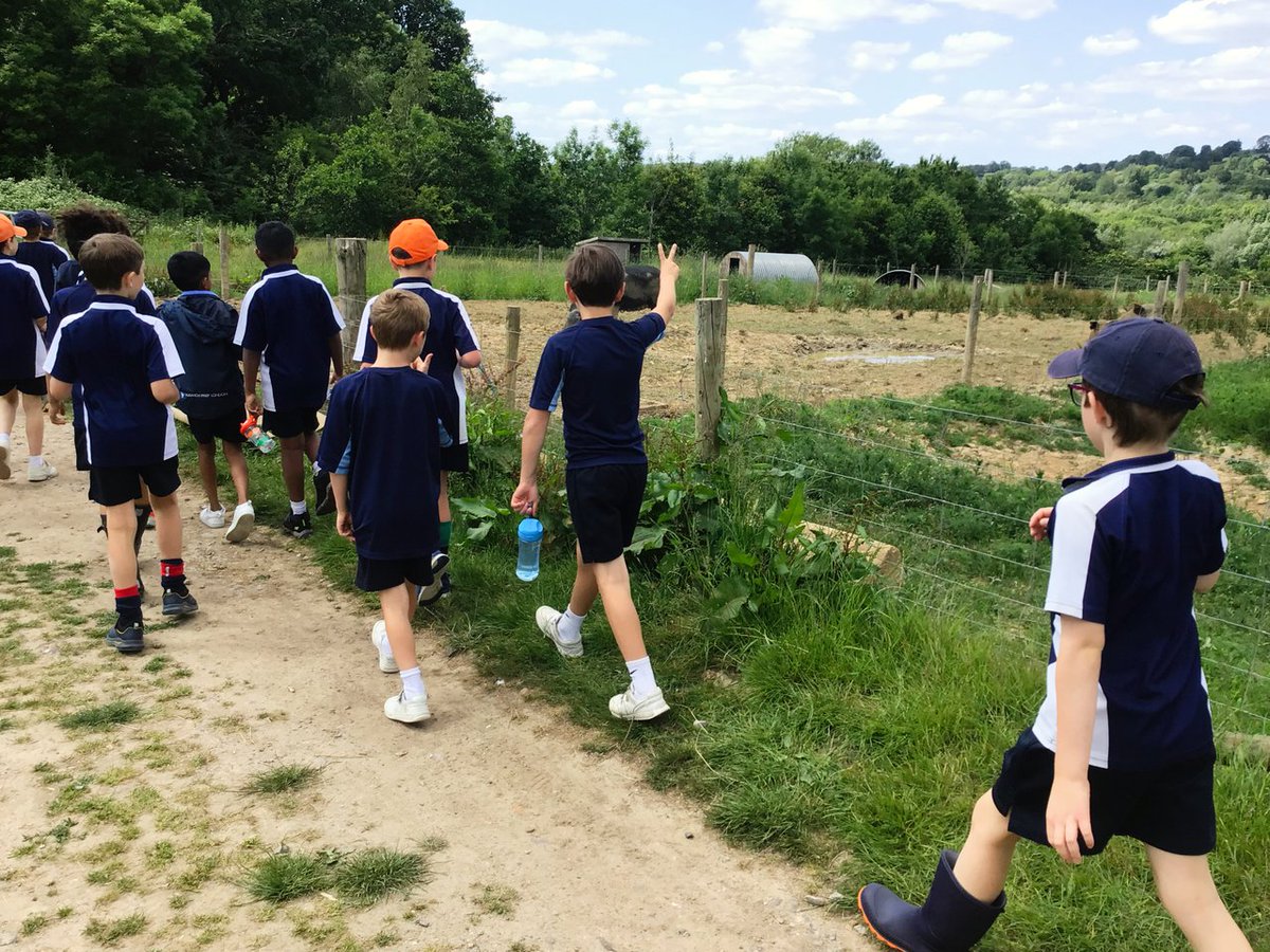 Dulwich Prep & Senior (@dulwichps) on Twitter photo Our first group of Year 4 pupils is having an amazing experience at <a href="/MagdalenFarm/">Magdalen Farm</a>, an Environmental Education Centre situated on a working organic farm in Somerset. The first day was packed with activities like den building, zip lining, and team-building exercises. The boys are Our first group of Year 4 pupils is having an amazing experience at <a href="/MagdalenFarm/">Magdalen Farm</a>, an Environmental Education Centre situated on a working organic farm in Somerset. The first day was packed with activities like den building, zip lining, and team-building exercises. The boys are