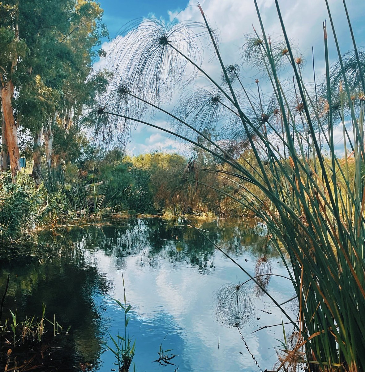 Visit Sicily tweet media