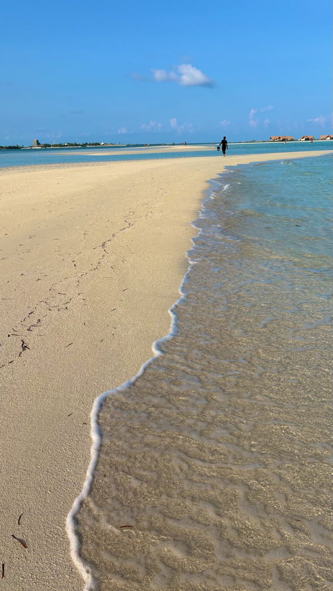 yrkiririyr's tweet photo. 2025.04.14 🇲🇻
.
Sandbank🏝️
オプションのドローン撮影($30)があるらしく、フリータイム!
ガイドさんが声をかけてくれて写真と動画を撮ってくれたよ📸✨
撮影のあとは、波打ち際でのんびり🌊
船に戻る前に、ガイドのシナールと記念写真したよ🥰❤️
.
#Maldives #モルディブ #shadowpalm https://t.co/5bD3bpDwGv
