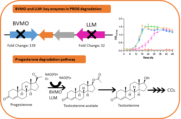 Environmental Biotechnology tweet media