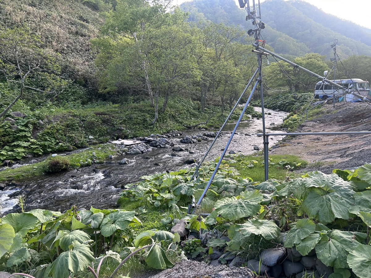 Currently chewing my fingers down to the quick and praying that the Blaskiston’s owl makes an appearance tonight…#birdingJapan #fingersfirmlycrossed <a href="/zootherabirding/">Nick Bray</a> <a href="/biggesttwitch/">Ruth and Alan</a>
