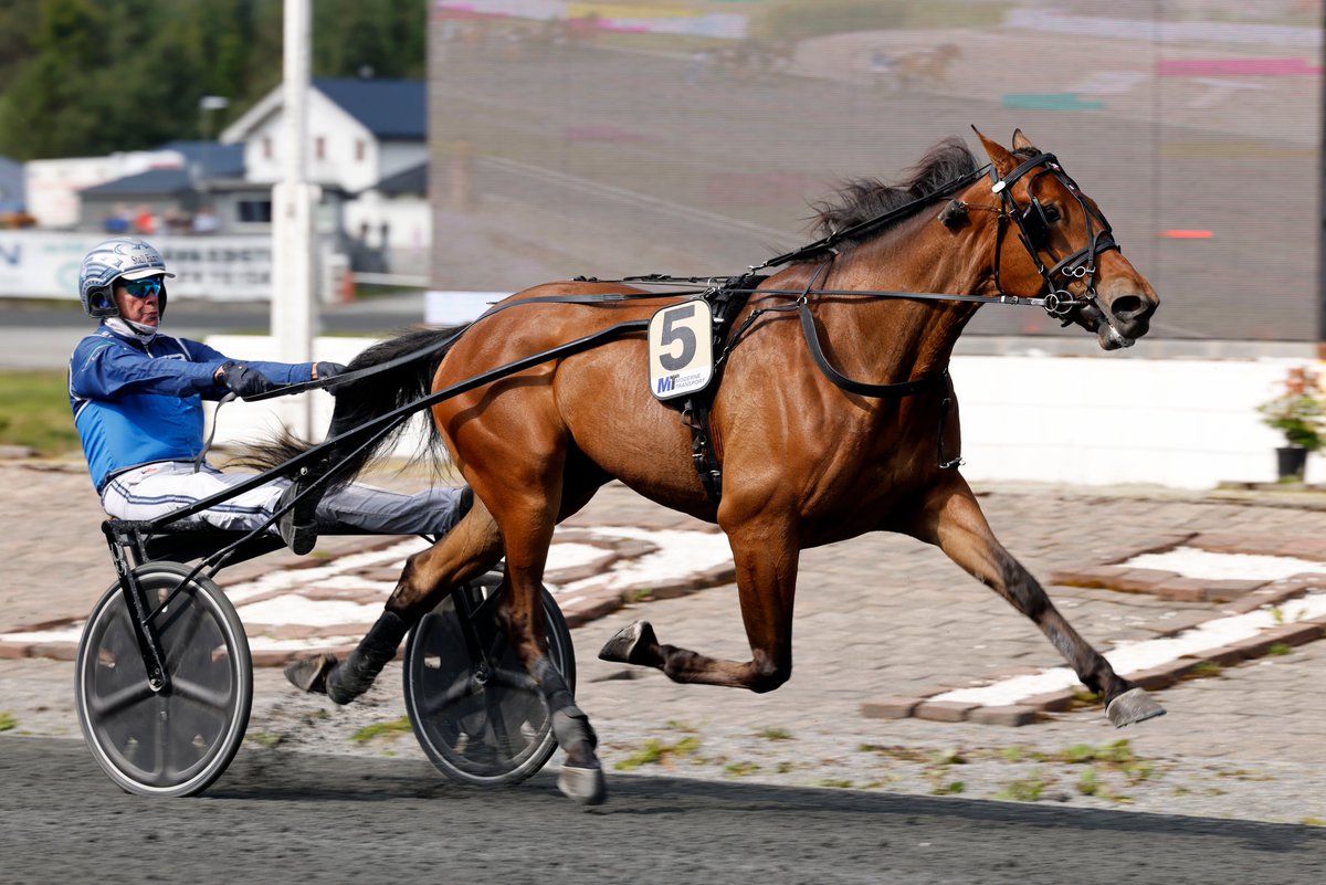 Stall Hamre (@hamrestall) on Twitter photo 31.05: Fire hester tok turen til Bergen Travpark for deres V75 omgang. Med hjem ble to seiere, og begge til andelslagene styrt av Erlend Sæterstøl. Som for øvirg også kunne kvittere ut tre seiere på samme uke da Athletic Sun vant tidligere i uken. 
Først ut var Cool Hand Energy 31.05: Fire hester tok turen til Bergen Travpark for deres V75 omgang. Med hjem ble to seiere, og begge til andelslagene styrt av Erlend Sæterstøl. Som for øvirg også kunne kvittere ut tre seiere på samme uke da Athletic Sun vant tidligere i uken. 
Først ut var Cool Hand Energy