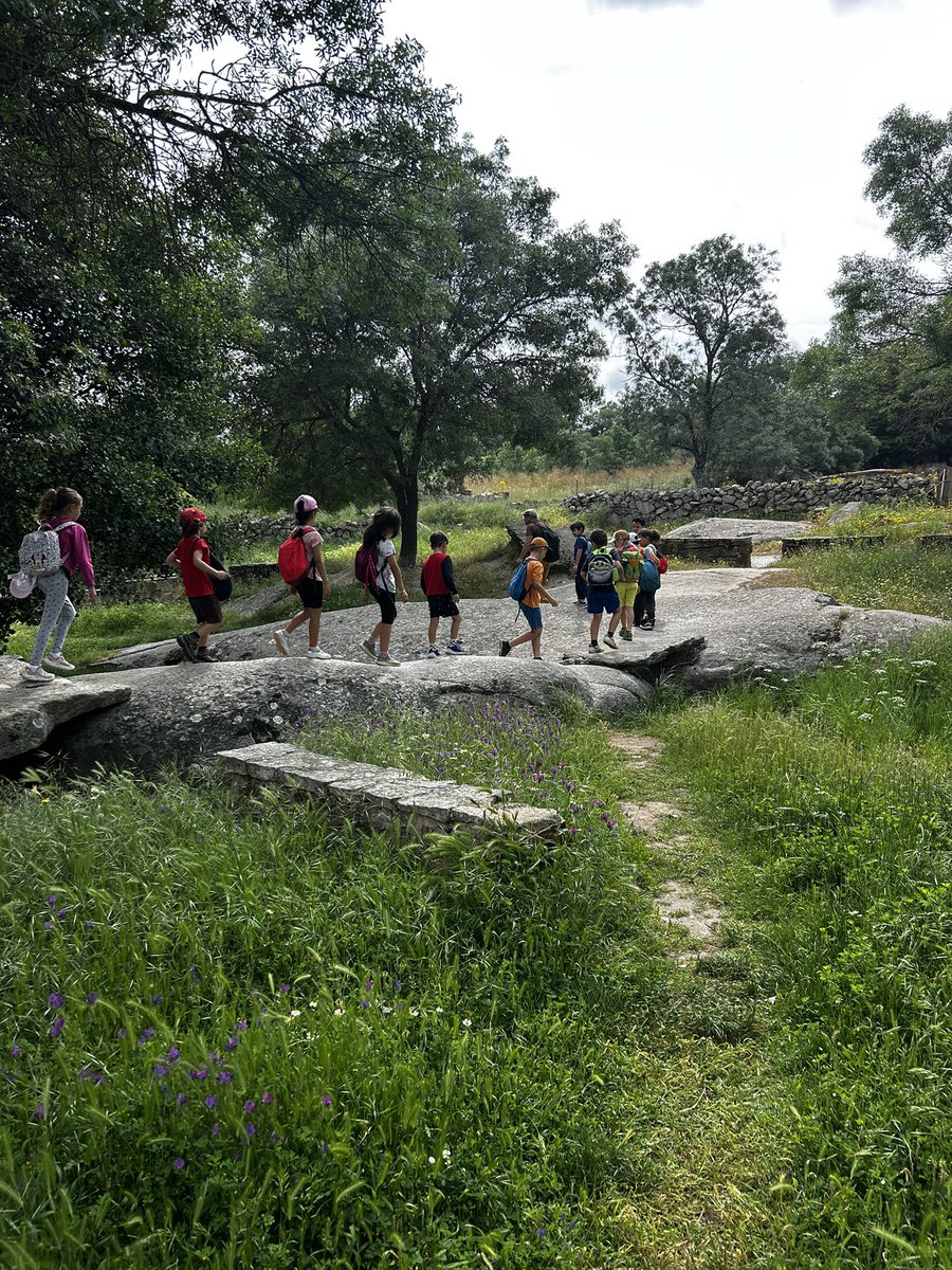 PATRI HBST tweet media