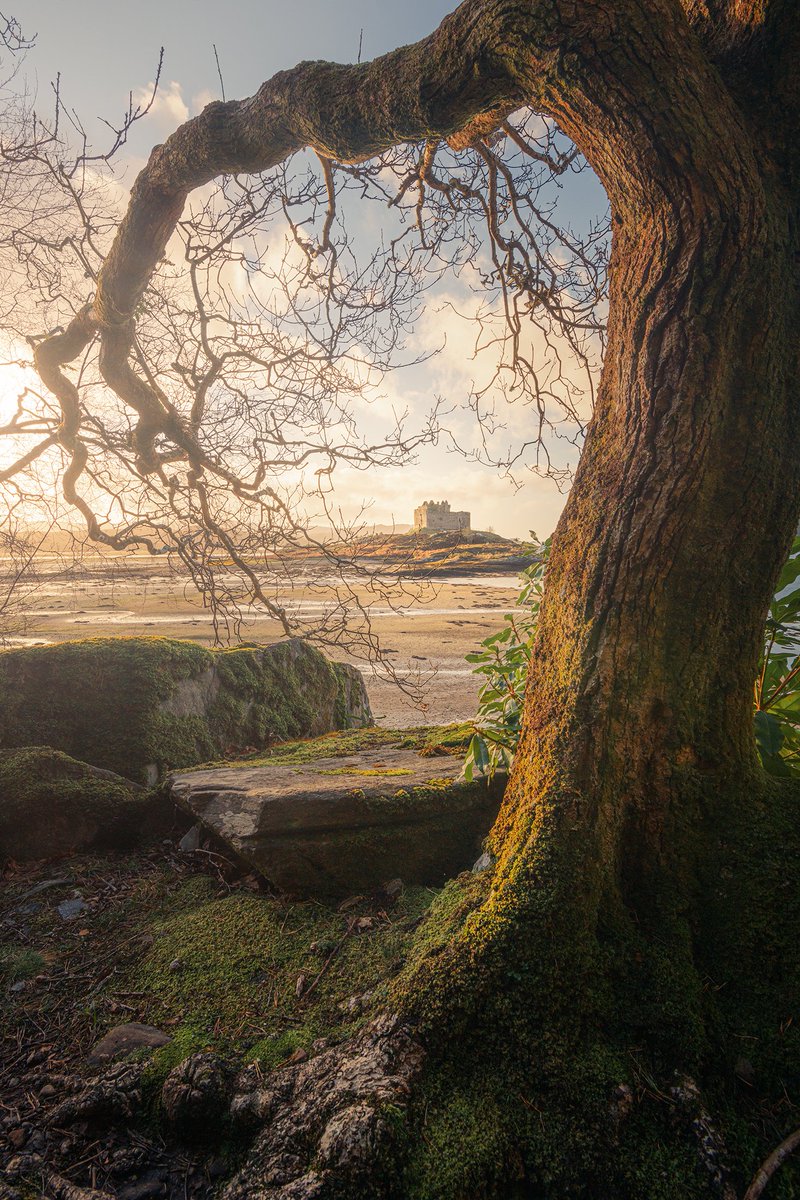 Castle Tioram, Moidart #Scotland #Lochaber #Highlands #Acharacle damianshields.com