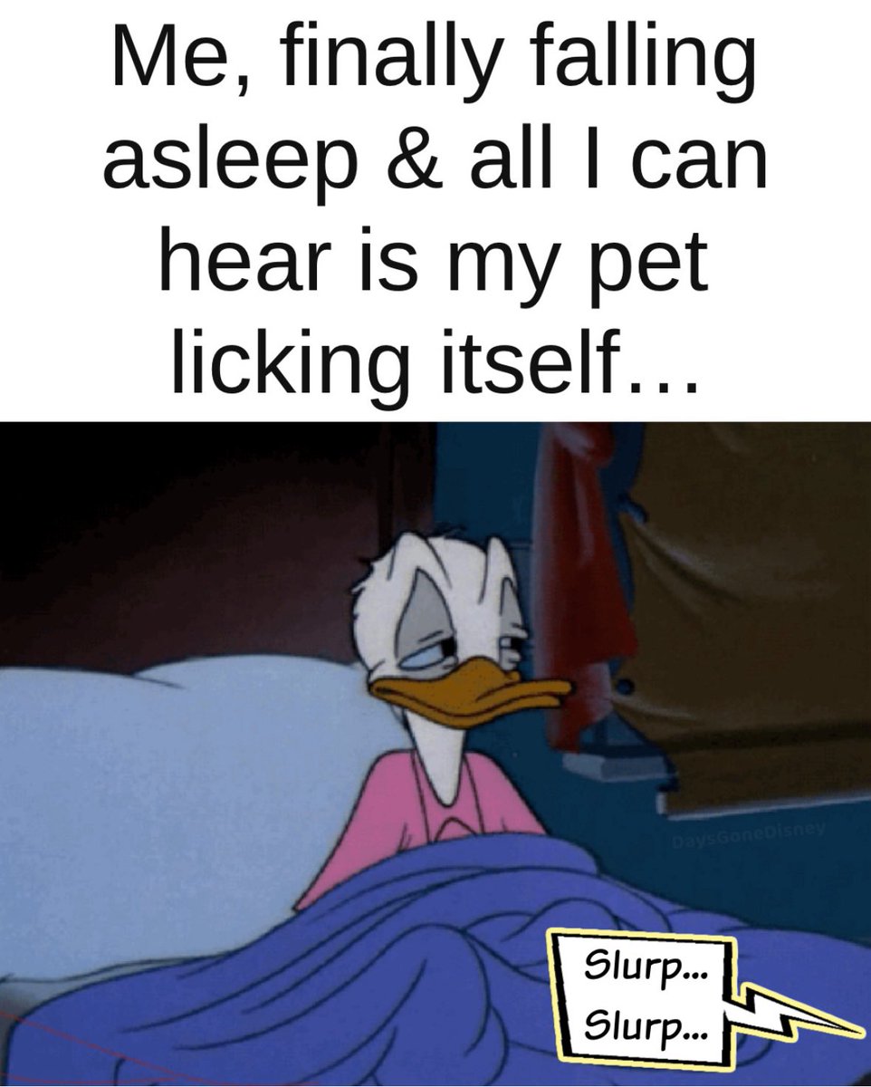 fishmornings's tweet image. Yup