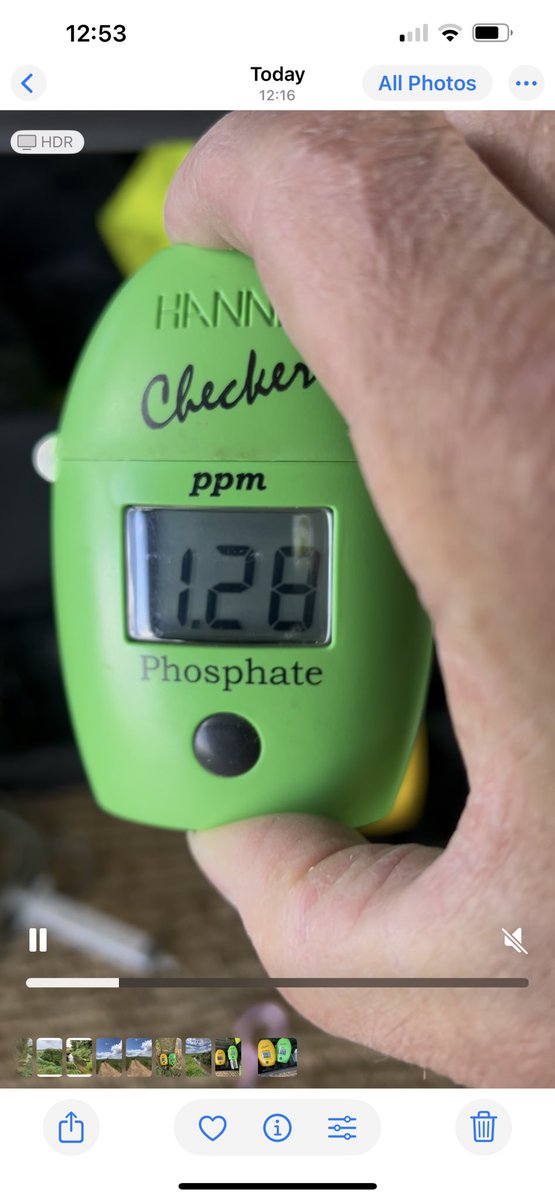 Russell ChalkStreamsInCrisis 🦇🦎🦇🦎 tweet media