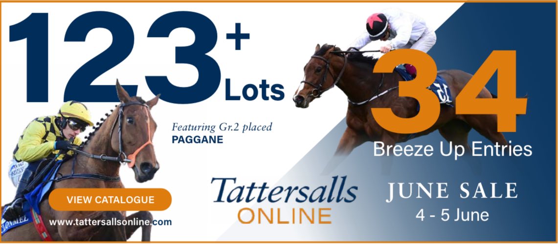 EBN (@bloodstocknews) on Twitter photo ๐ถ <a href="/tatts_online/">Tattersalls Online</a> June Sale ๐ถ
123+ Lots โ๏ธ
34 Breeze Up entries โ๏ธ
Donโt miss out!
๐ 4 - 5 June
Featuring Gr.2 placed PAGGANE ๐ซ
View the catalogue โก๏ธ
secure.tattersalls.com/online/OJN25/Mโฆ ๐ถ <a href="/tatts_online/">Tattersalls Online</a> June Sale ๐ถ
123+ Lots โ๏ธ
34 Breeze Up entries โ๏ธ
Donโt miss out!
๐ 4 - 5 June
Featuring Gr.2 placed PAGGANE ๐ซ
View the catalogue โก๏ธ
secure.tattersalls.com/online/OJN25/Mโฆ