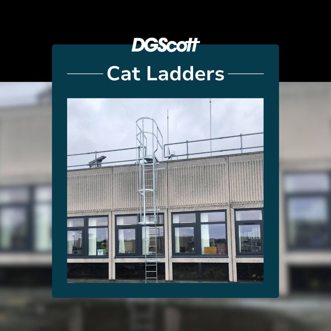 Need to get up high safely? Start with the right ladder. 🪜

From 2m access to 25m high rise with landings and safety hoops - our #CatLadders are built to last &amp; meet tough British Standards.

See more: bit.ly/3YwT5PX 

#CatLadder #MetalFabrication #Steelworks #UKMfg