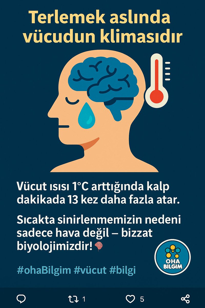 ohabilgim's tweet image. Terlemek aslında vücudun klimasıdır.

Vücut ısısı 1°C arttığında kalp dakikada 13 kez daha fazla atar.

Sıcakta sinirlenmemizin nedeni sadece hava değil — bizzat biyolojimizdir! 🌡️🧠

 #vücut #bilgi
