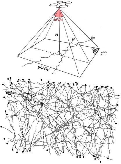 PeerComJournal's tweet image. Now published in Peer Community Journal, #ecology section: Tracking butterfly flight in the field from an unmanned aerial vehicle (UAV): a methodological proof of principle
buff.ly/EPHgDkU