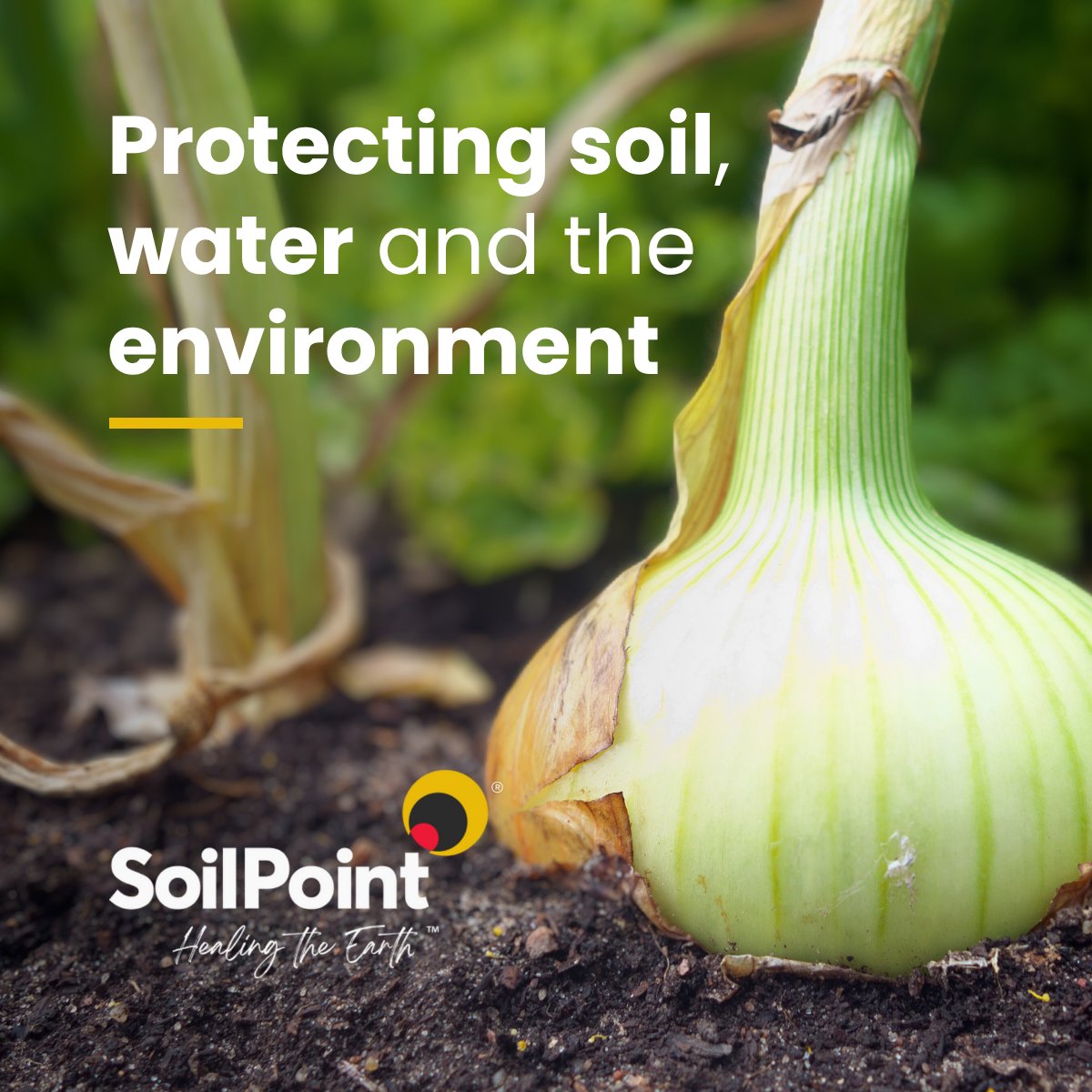 In 2024, we commissioned a UN-accredited Life Cycle Assessment to compare SoilPoint’s humic-based Soil Booster with conventional fertilisers.
 
The results?
⚠️ Synthetic fertilisers:
• Degrade soil
• Pollute water
• Increase emissions
 
🌍SoilPoint Soil Booster cuts Global