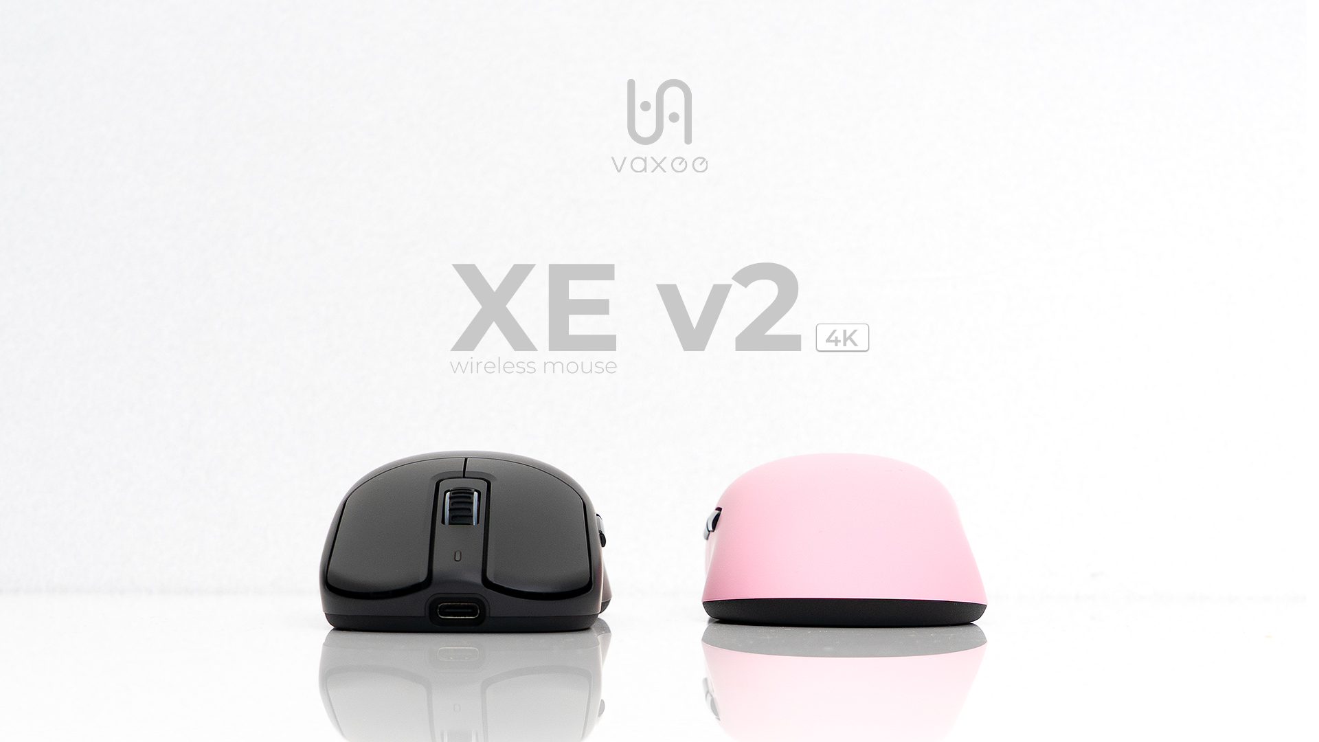 VAXEE.co JP on X: 