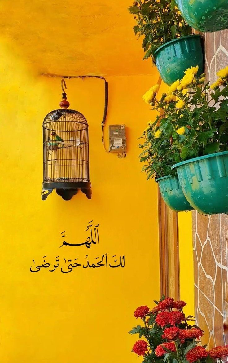 لكَ الحَمدُ حتيٰ تَرضىٰ♥️..