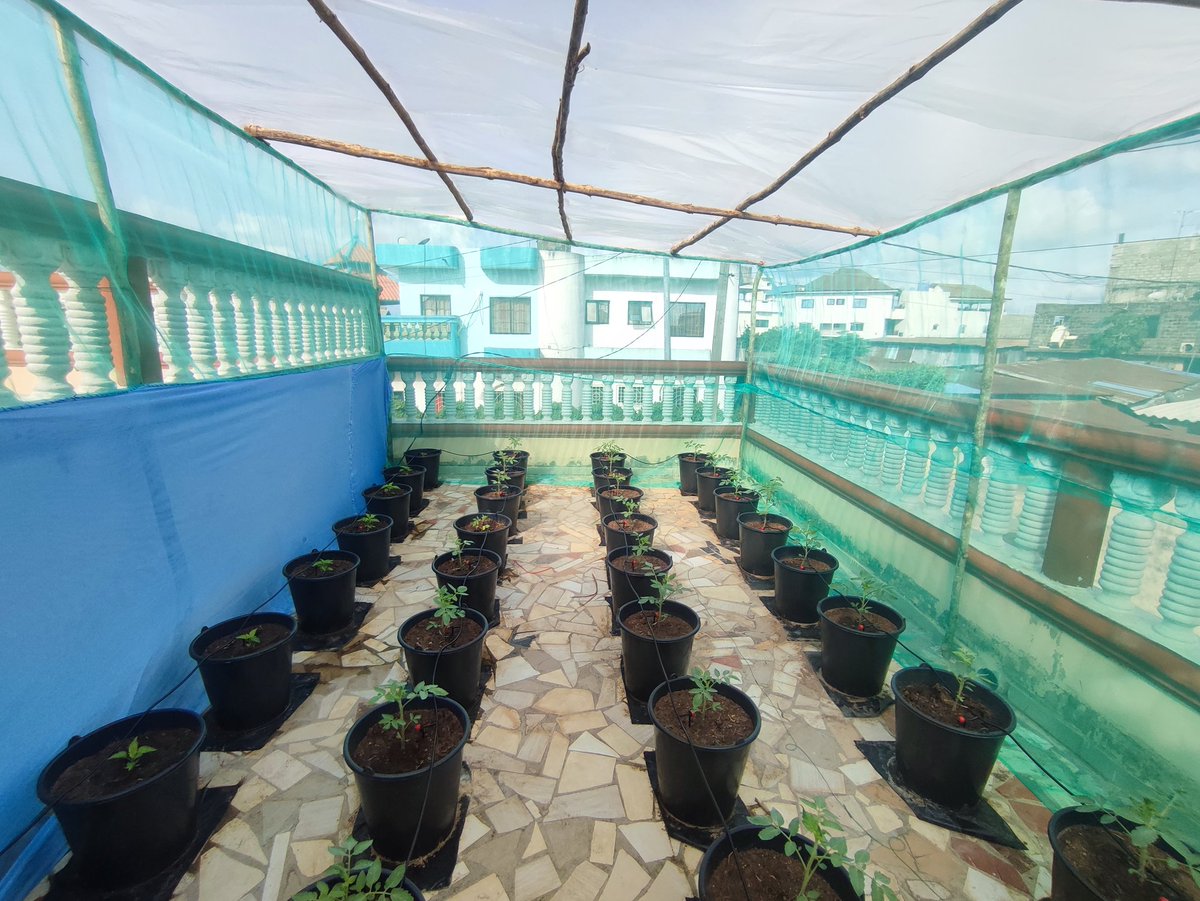 Karl-Loïc🐤🐓 tweet media