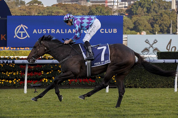 Pride Of Jenni has been booked into one of Australia’s champion stallions this breeding season. 
racingandsports.com.au/news/racing/ne…