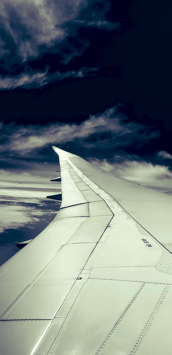 Mike Diarmid (@mikediarmid) on Twitter photo Japan and <a href="/FlutterNinjas/">FlutterNinjas Tokyo</a> was a lot of fun - good hanging out with friends old and new 🥹
Home time now though 🥲 Japan and <a href="/FlutterNinjas/">FlutterNinjas Tokyo</a> was a lot of fun - good hanging out with friends old and new 🥹
Home time now though 🥲