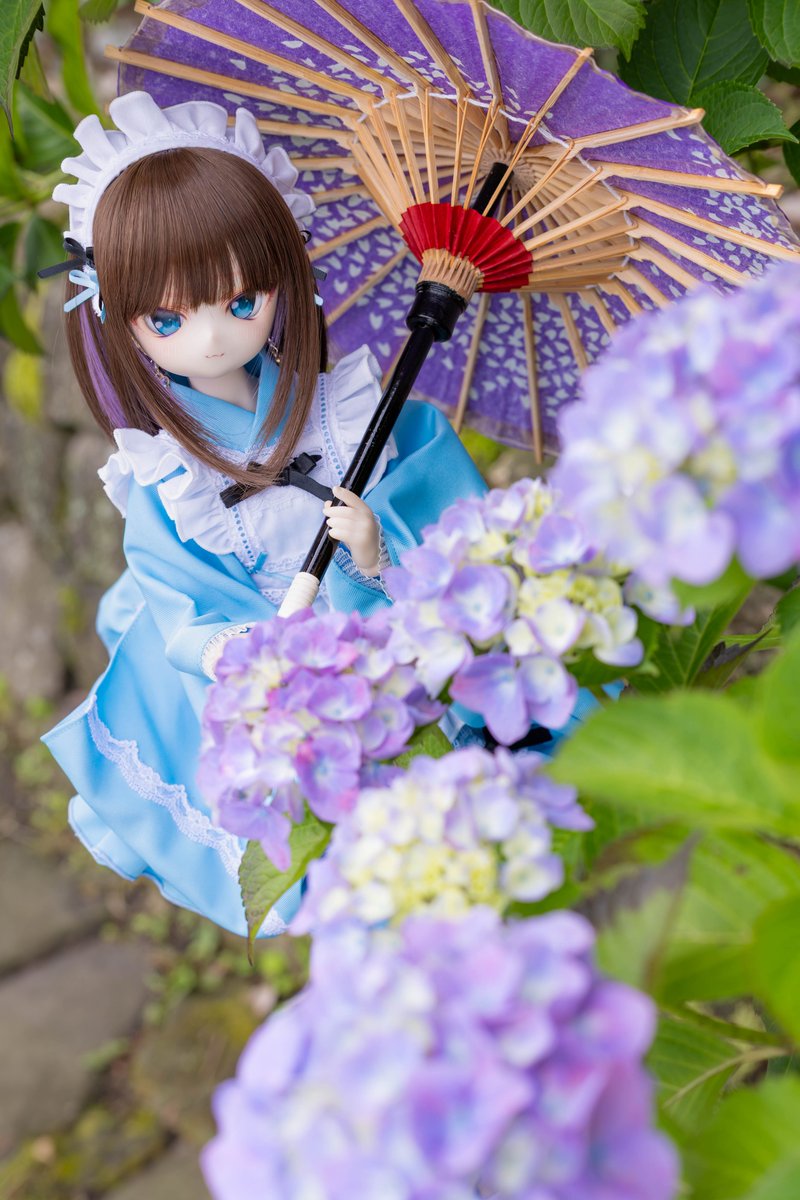蒼「ここの紫陽花は、今週末が見頃かもね」

#ひまたねっ娘 
#エルドールコフレ