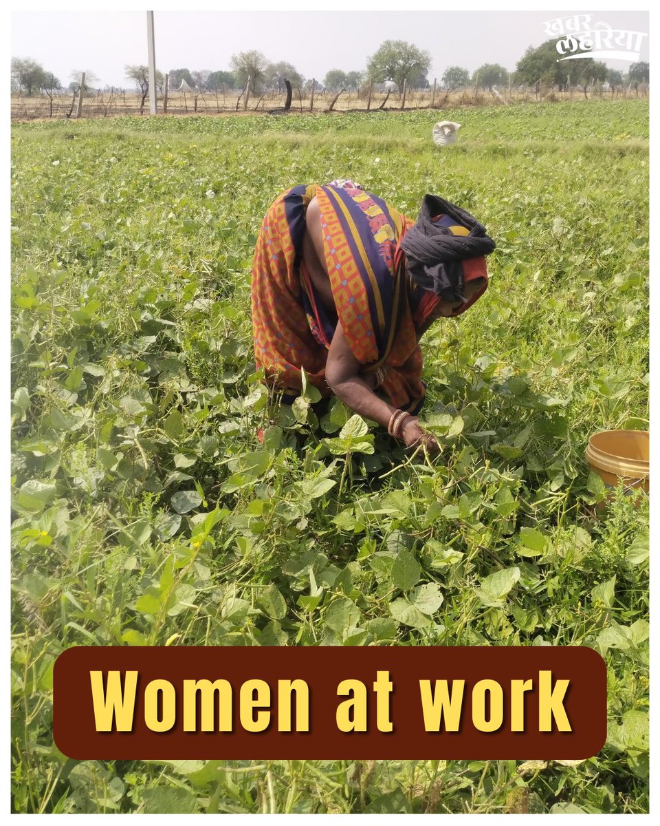 KhabarLahariya's tweet image. From grinding dal to layering rooftops before the rains, to singing together when a child is born — women in rural India move through work and community like second nature.

These everyday acts aren’t always documented, but they hold the village together. 🌾☔🎶

#WomenAtWork